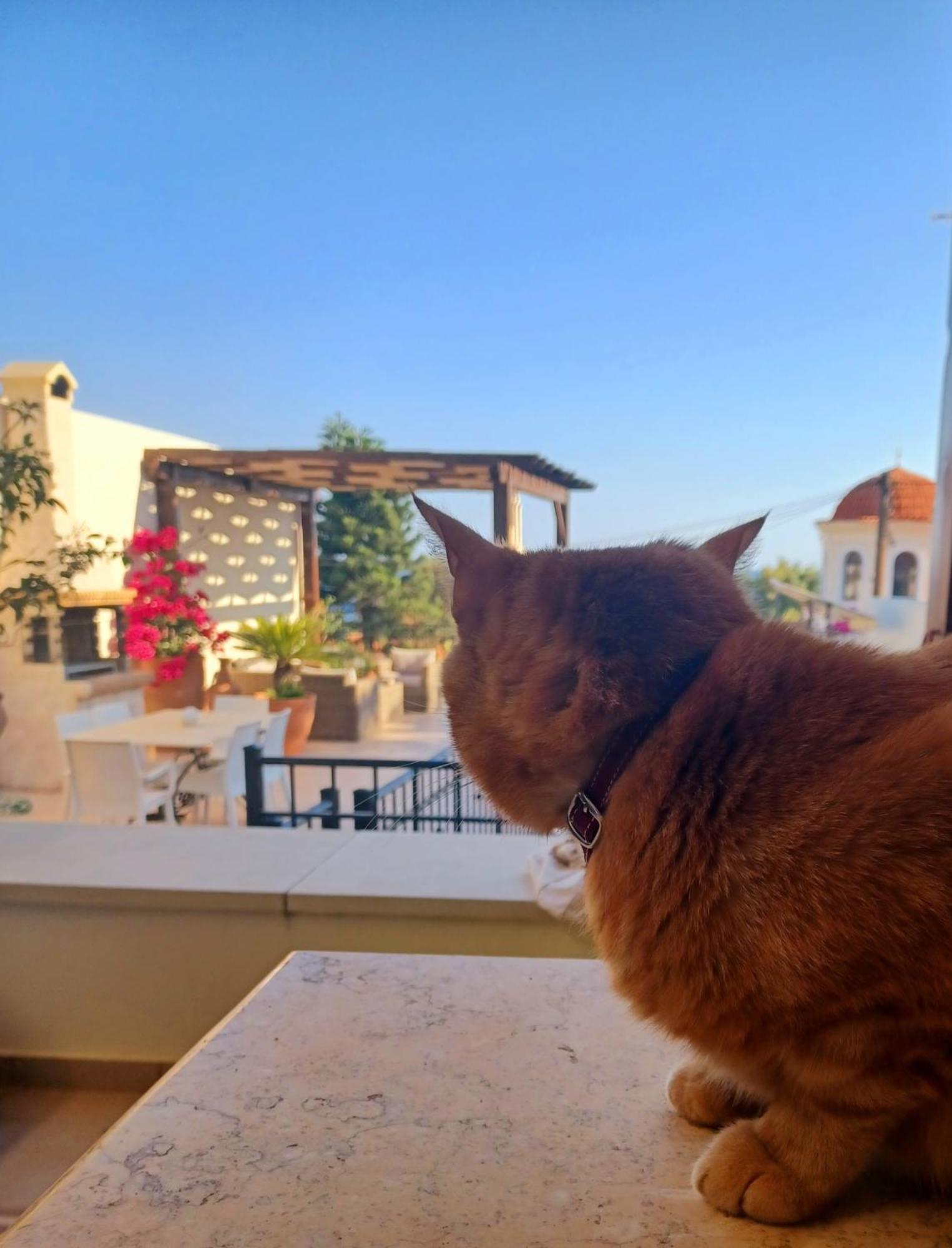 Villa Aposperitis Pánormosz Kültér fotó